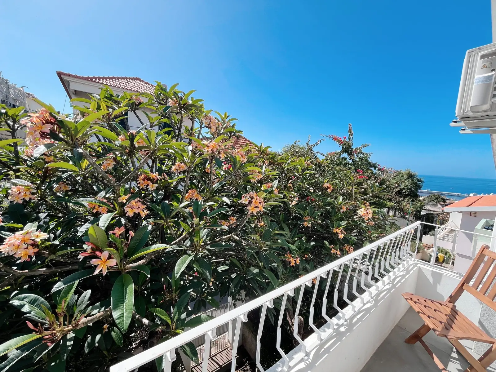 Balcony lined with flowering shrubs and a view to the Atlantic over Funchal