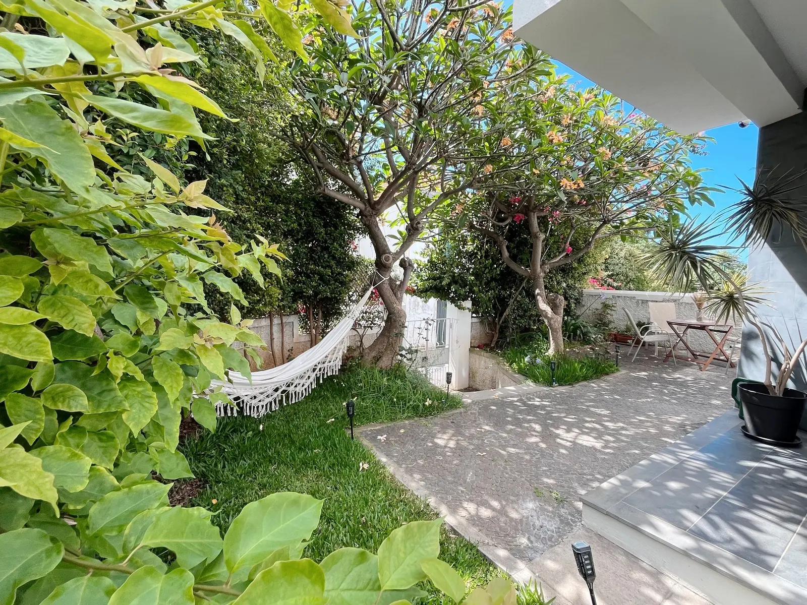 Green garden with a white hammock and a paved path at the coliving villa