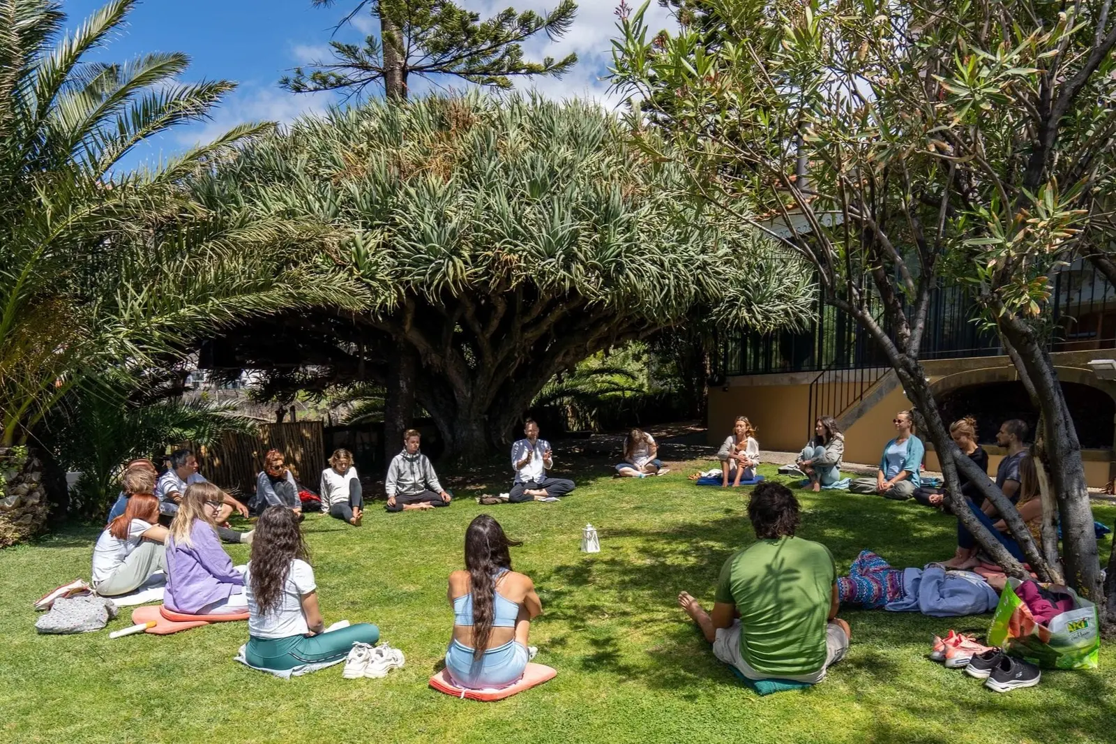 Outdoor yoga class on the grass in a Funchal park